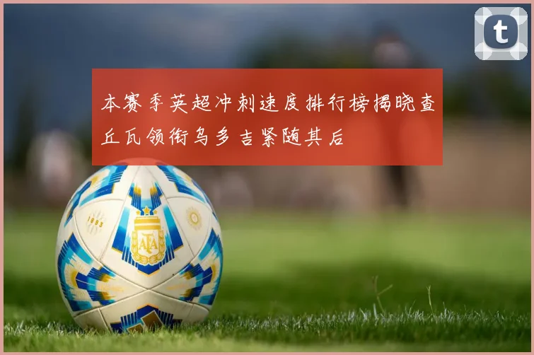 本赛季英超冲刺速度排行榜揭晓查丘瓦领衔乌多吉紧随其后