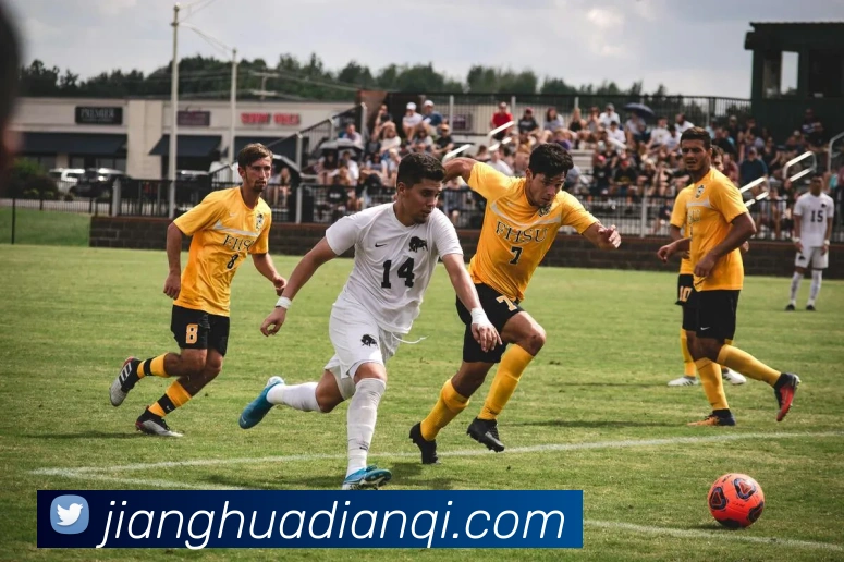 华体会平台生态图